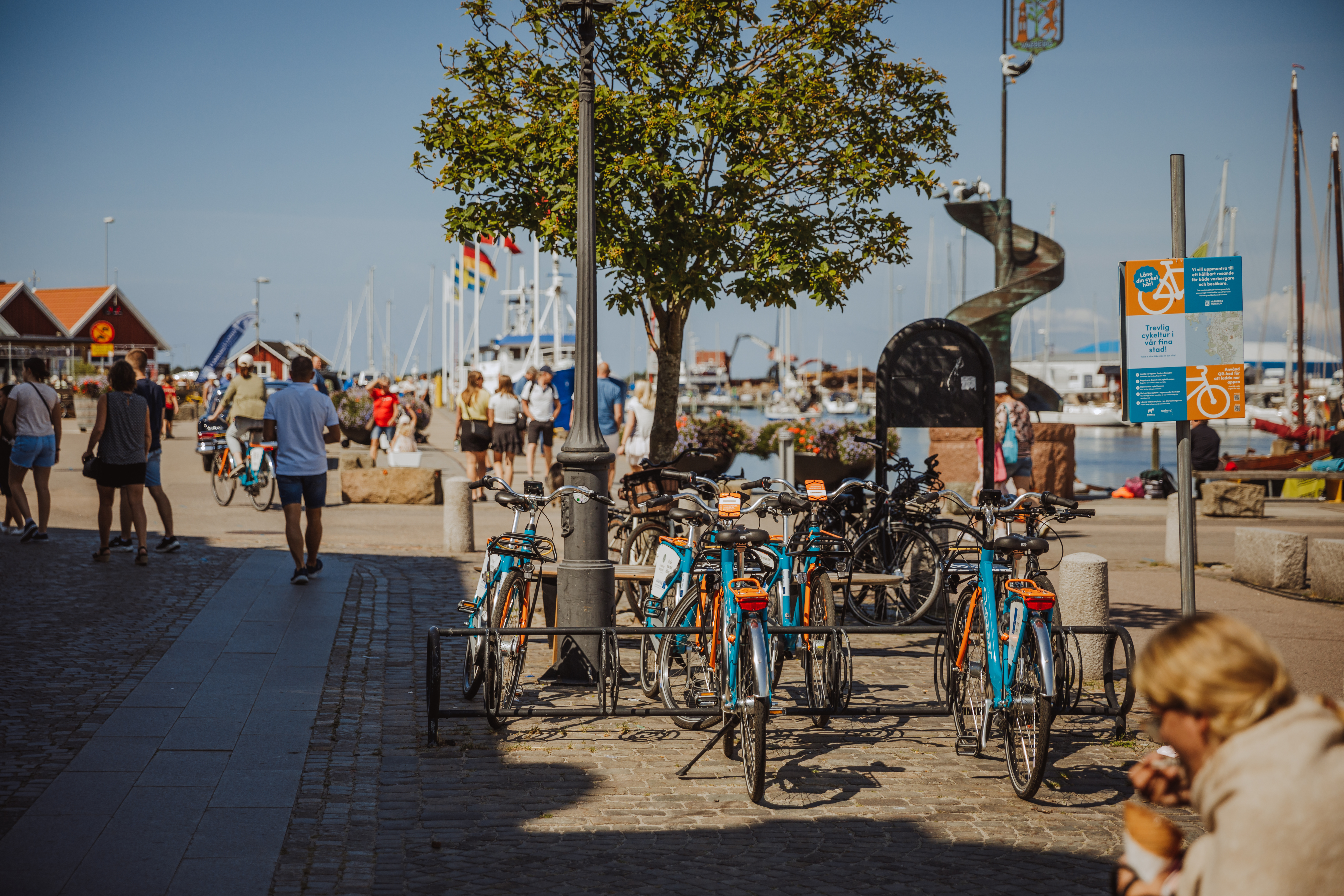 A group of bikes by the beach